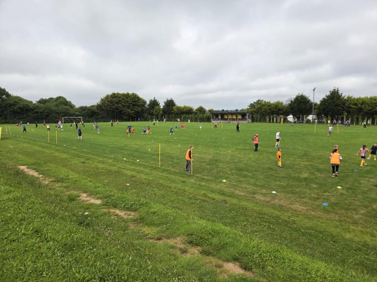 d90c586e-ba67-4e02-8b45-ab8406e0a59d